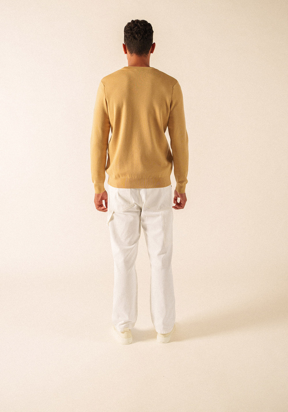 Pull Cruiser (TOILE)