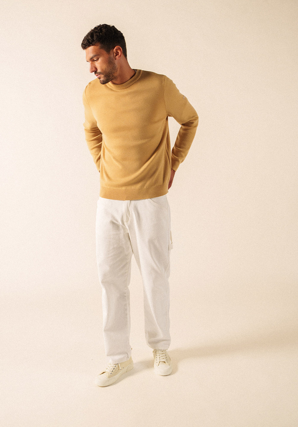 Pull Cruiser (TOILE)