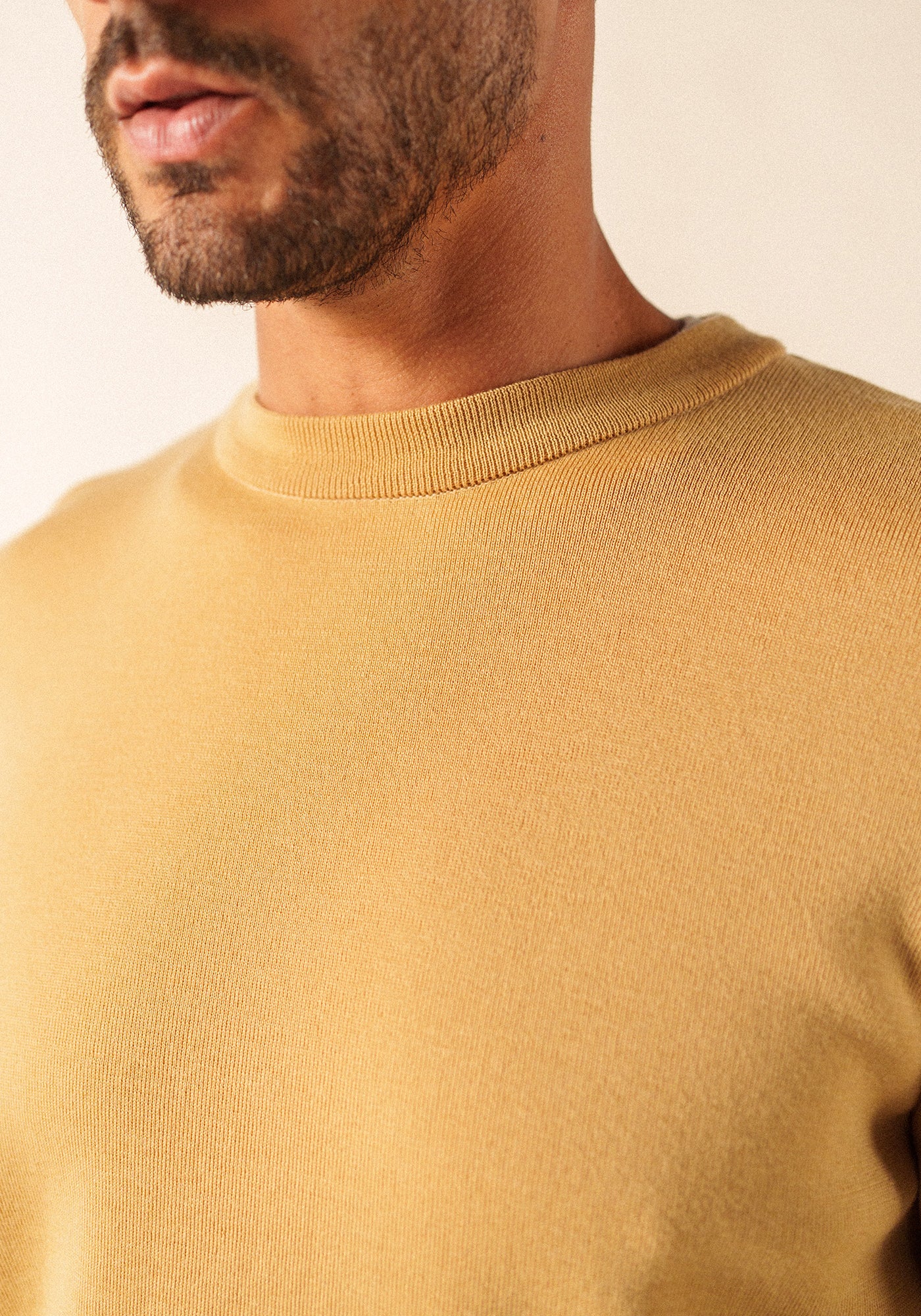 Pull Cruiser (TOILE)