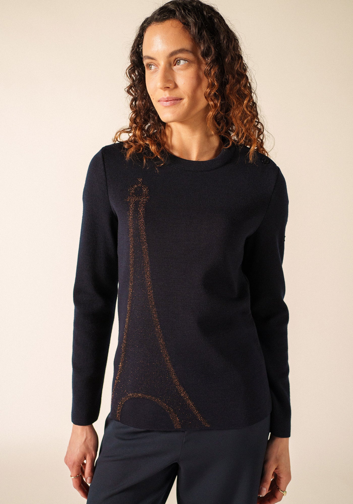 Pull Brégançon x La tour Eiffel (NAVY/BRONZE)