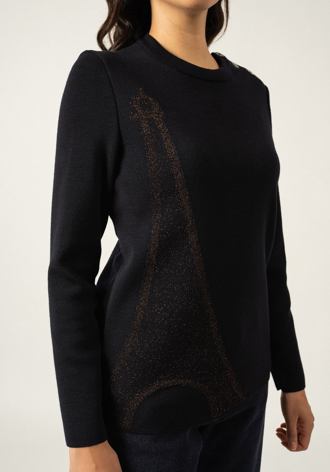 Pull Brégançon x La tour Eiffel (NAVY/BRONZE)