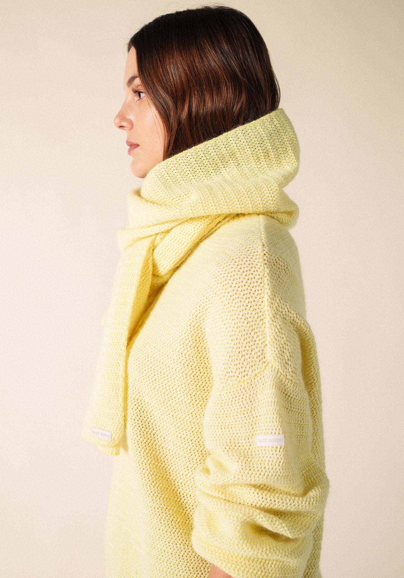 Echarpe Ascain (AUBE/BLANC D'HIVER)